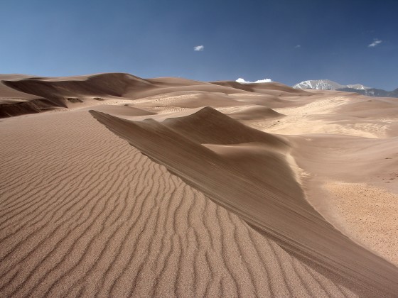 Great Sand Dune N.P.