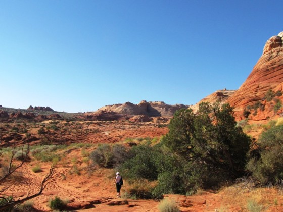 Auf dem Weg zur Wave, Coyote Buttes North
