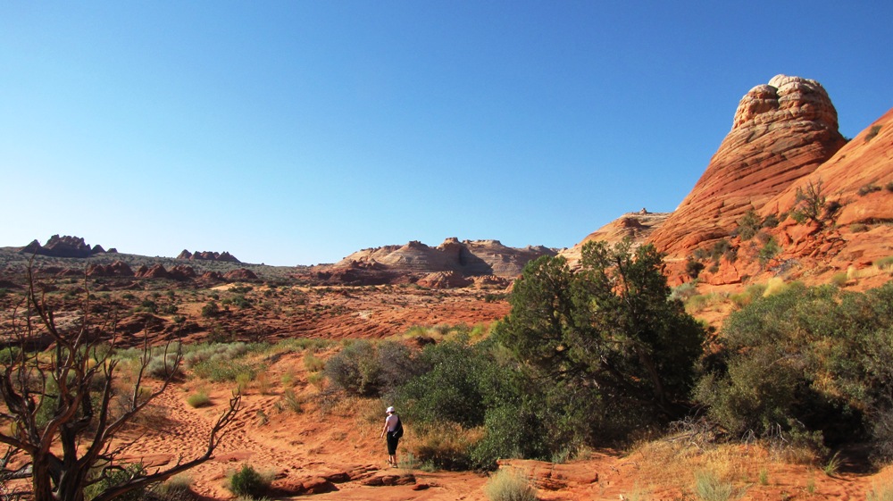 Auf dem Weg zur Wave, Coyote Buttes North