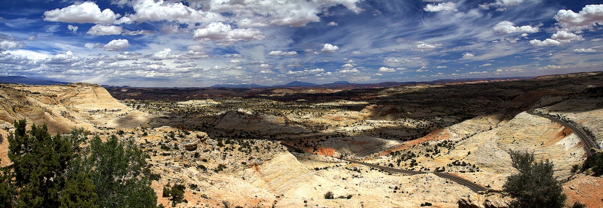 Highway 12 Panorama