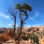 Navajo Loop