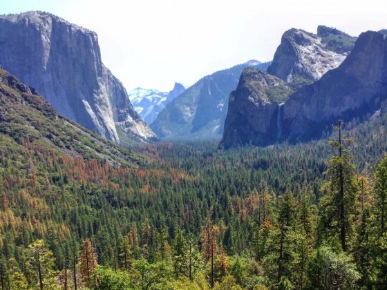 Yosemite Valley View