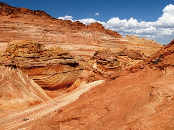 Wave und Umgebung, Coyote Buttes North