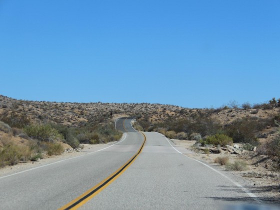 Straße im Joshua Tree NP