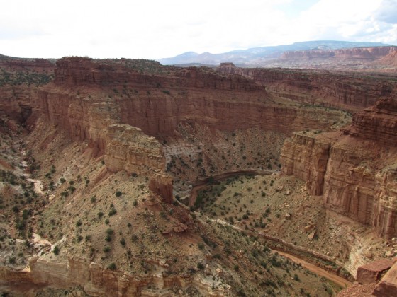 CapitolReef3