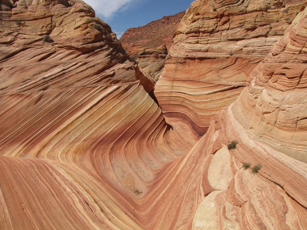 Wave und Umgebung, Coyote Buttes North