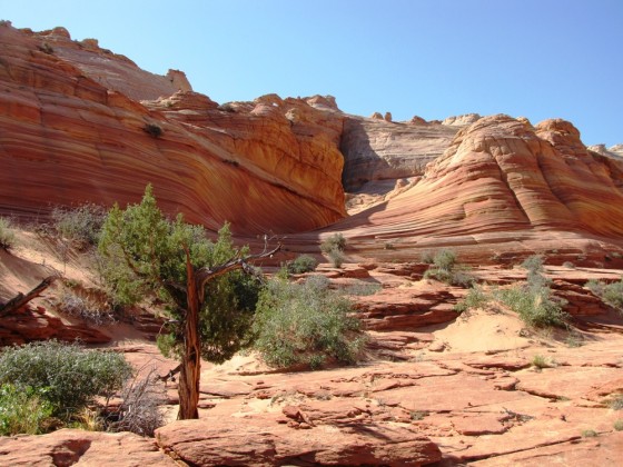 Auf dem Weg zur Wave, Coyote Buttes North