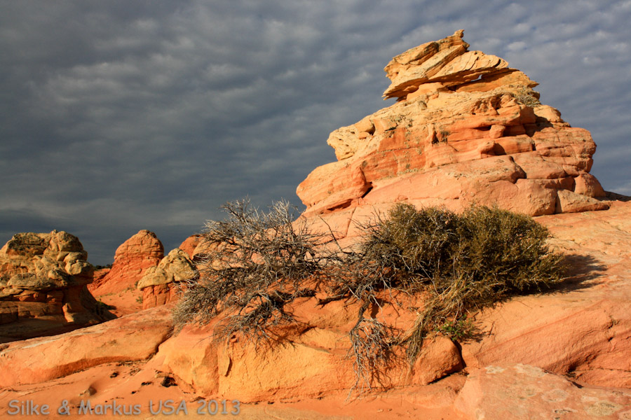 Coyote Buttes South