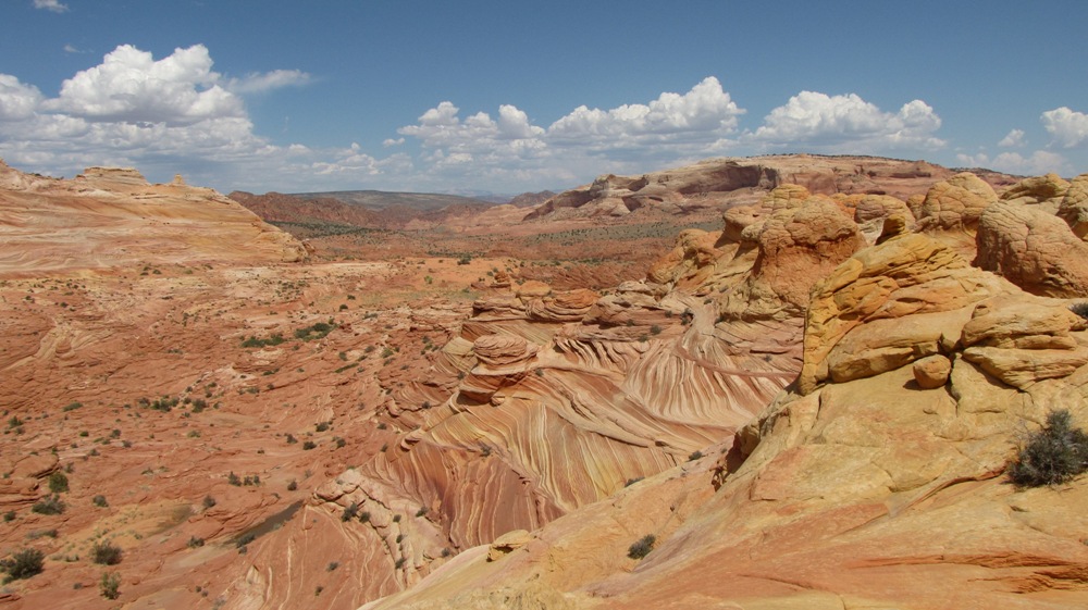 Wave und Umgebung, Coyote Buttes North