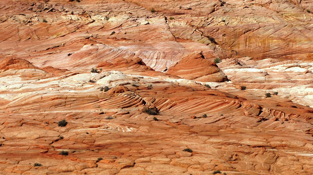 Auf dem Weg zur Wave, Coyote Buttes North