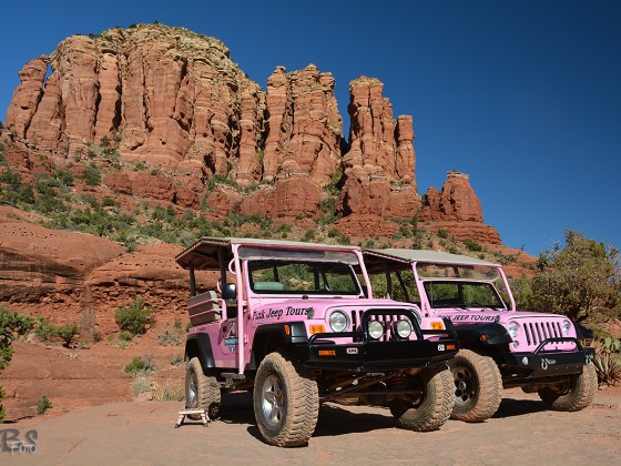 Pink Jeep Tours