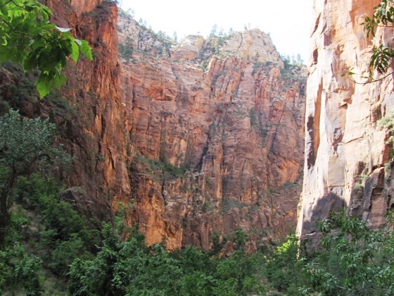 Zion NP