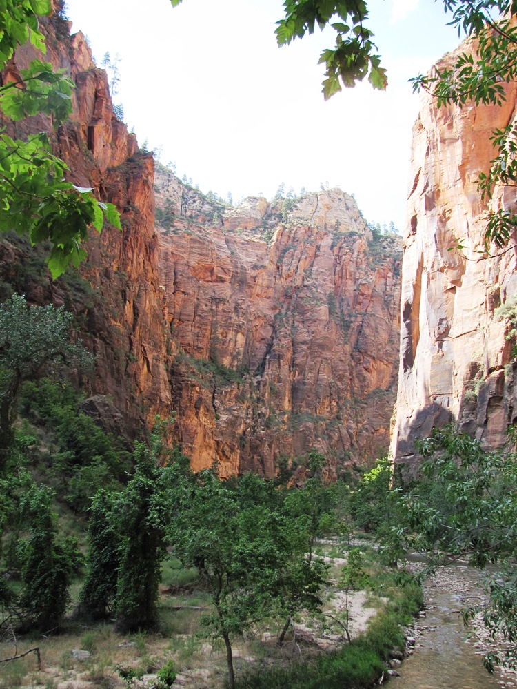 Zion NP