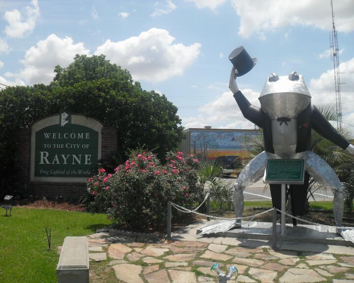 Frosch City Rayne