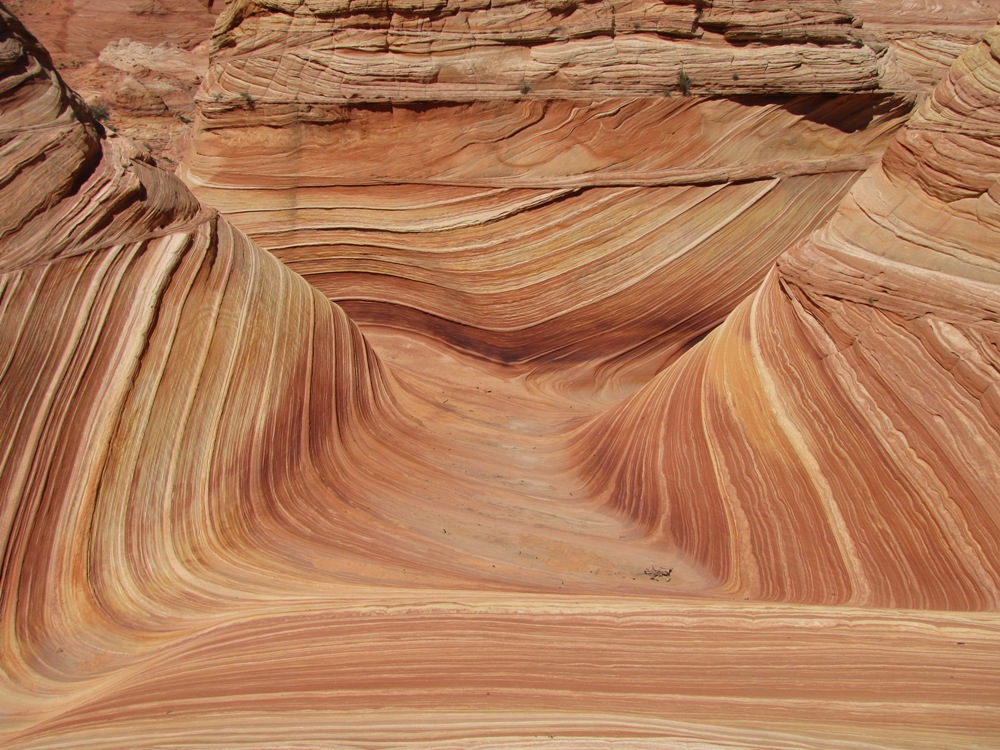 Wave und Umgebung, Coyote Buttes North