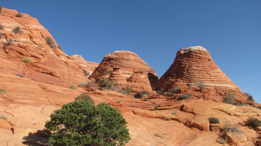 Auf dem Weg zur Wave, Coyote Buttes North