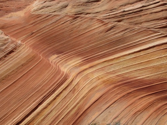 Wave und Umgebung, Coyote Buttes North