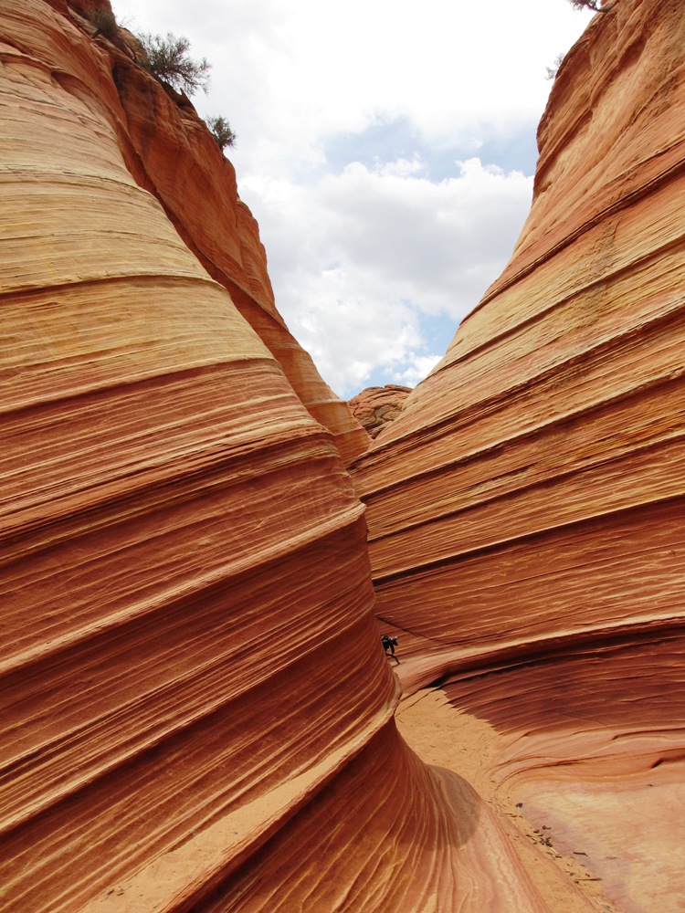 Wave und Umgebung, Coyote Buttes North