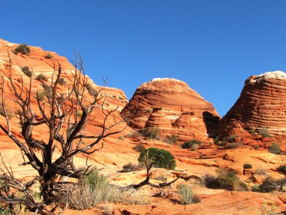 Auf dem Weg zur Wave, Coyote Buttes North