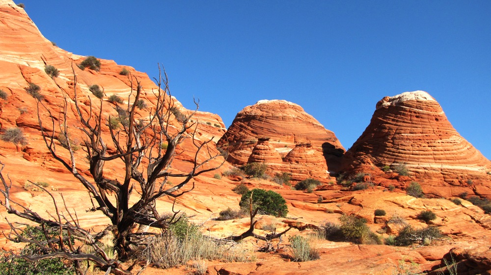 Auf dem Weg zur Wave, Coyote Buttes North