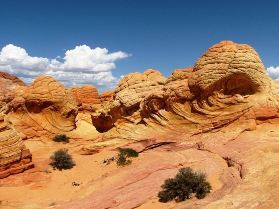 Wave und Umgebung, Coyote Buttes North