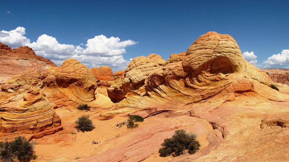 Wave und Umgebung, Coyote Buttes North