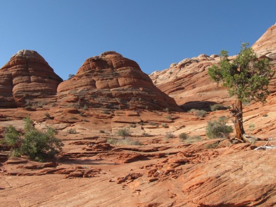 Auf dem Weg zur Wave, Coyote Buttes North