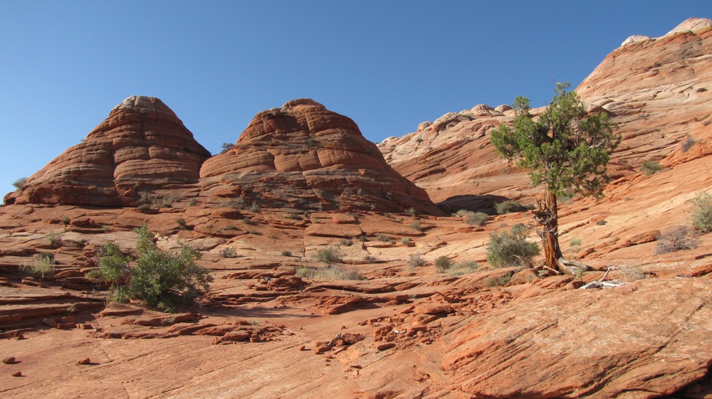 Auf dem Weg zur Wave, Coyote Buttes North