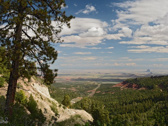 Buffalo Pass