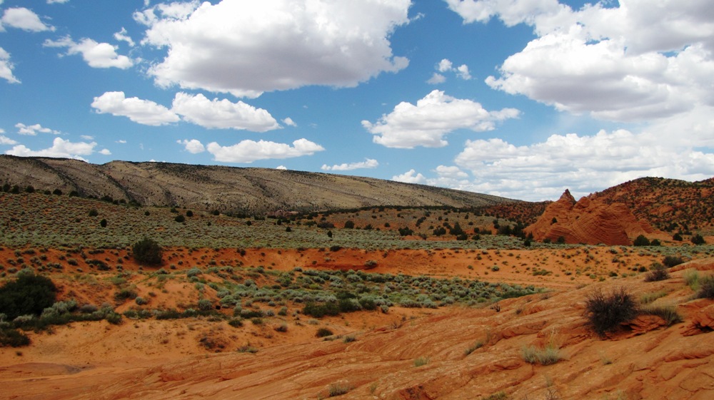 Wave und Umgebung, Coyote Buttes North