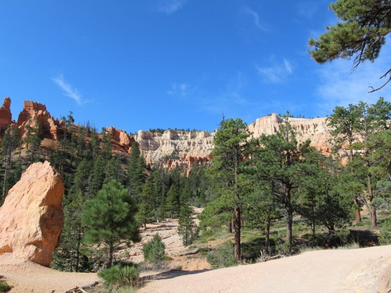 Grün im Bryce Canyon