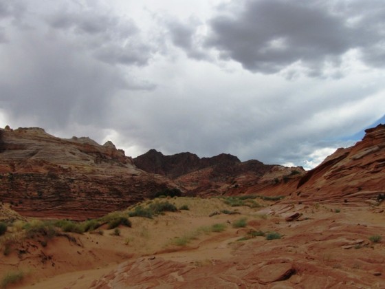 Wave und Umgebung, Coyote Buttes North