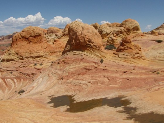 Wave und Umgebung, Coyote Buttes North