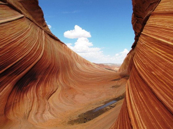 Wave und Umgebung, Coyote Buttes North