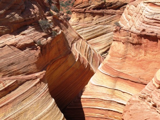 Wave und Umgebung, Coyote Buttes North