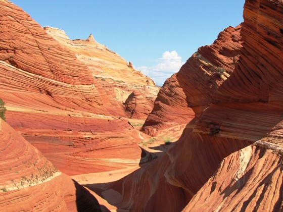 Wave und Umgebung, Coyote Buttes North