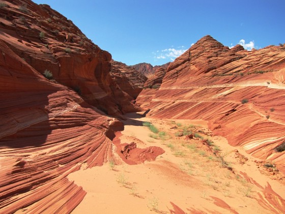 Wave und Umgebung, Coyote Buttes North