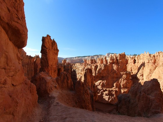 Nevada Loop