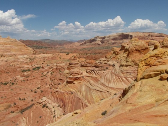 Wave und Umgebung, Coyote Buttes North