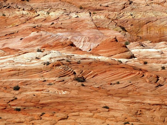 Auf dem Weg zur Wave, Coyote Buttes North